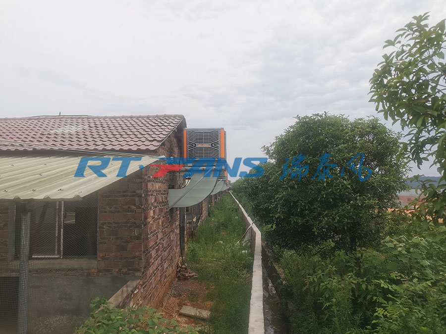 豬場降溫,濕簾冷風機,環(huán)?？照{(diào)