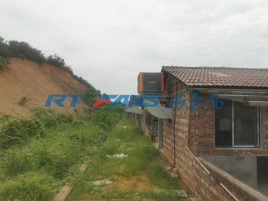 廠房降溫,環(huán)?？照{(diào),冷風(fēng)機