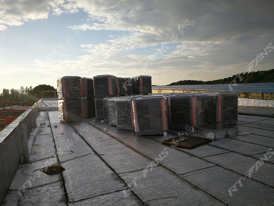 工廠通風降溫,環(huán)?？照{,冷風機